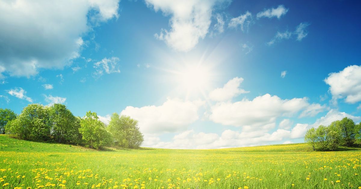 biowetter karlsruhe - Article 3